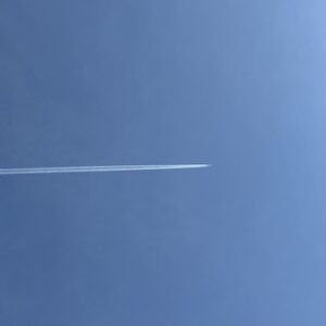 バセドウ病の治療費はどのくらいかかる？
