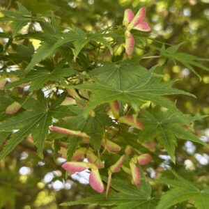 悩みや嫌なことを忘れる方法