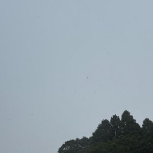 やる気が出ない時にやっている３つのこと