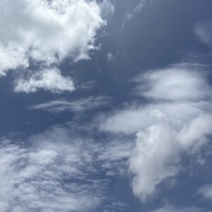 独自ドメインとレンタルサーバーを借りるといくらかかる？